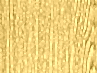cvet-svetloe-derevo